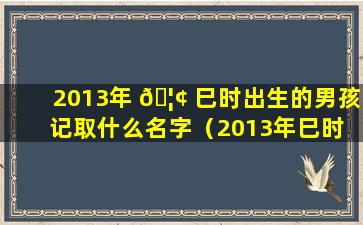 2013年 🦢 巳时出生的男孩记取什么名字（2013年巳时 🕸 出生的男孩记取什么名字最好）